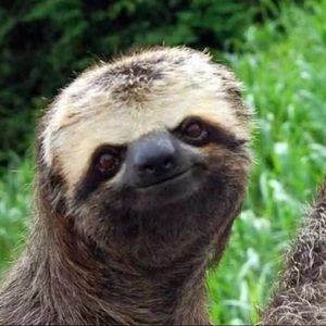 Meet your Posher, Yi